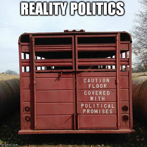 Politics trailer | REALITY POLITICS | image tagged in political | made w/ Imgflip meme maker