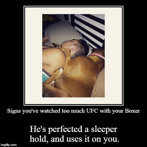 Sleeper Hold | image tagged in funny,demotivationals,dogs | made w/ Imgflip demotivational maker