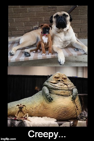 Resemblance | Creepy... | image tagged in funny,dogs,demotivationals | made w/ Imgflip meme maker