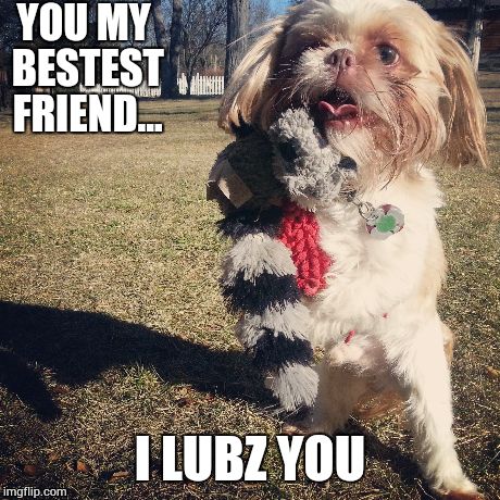 Doggie hugz | YOU MY BESTEST FRIEND... I LUBZ YOU | image tagged in dogs,hug,toy | made w/ Imgflip meme maker