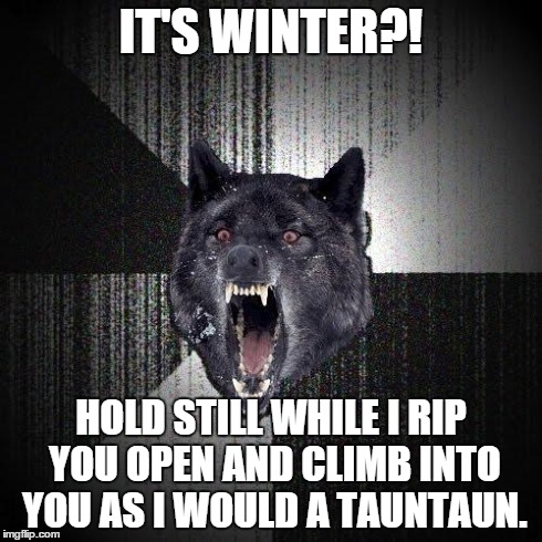 It's cold out there, and I need your warm body fluid now! | IT'S WINTER?! HOLD STILL WHILE I RIP YOU OPEN AND CLIMB INTO YOU AS I WOULD A TAUNTAUN. | image tagged in memes,insanity wolf | made w/ Imgflip meme maker
