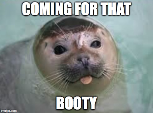 Booty Seal | COMING FOR THAT BOOTY | image tagged in satisfied seal | made w/ Imgflip meme maker