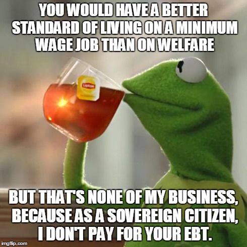 But That's None Of My Business | YOU WOULD HAVE A BETTER STANDARD OF LIVING ON A MINIMUM WAGE JOB THAN ON WELFARE BUT THAT'S NONE OF MY BUSINESS, BECAUSE AS A SOVEREIGN CITI | image tagged in memes,but thats none of my business,kermit the frog | made w/ Imgflip meme maker