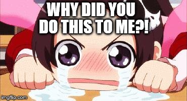 the crying anime girl | WHY DID YOU DO THIS TO ME?! | image tagged in the crying anime girl | made w/ Imgflip meme maker