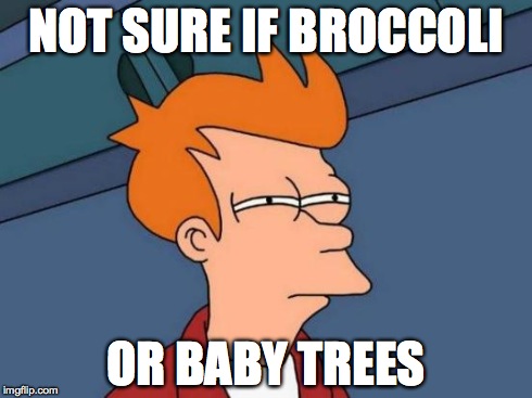 Futurama Fry Meme | NOT SURE IF BROCCOLI OR BABY TREES | image tagged in memes,futurama fry | made w/ Imgflip meme maker