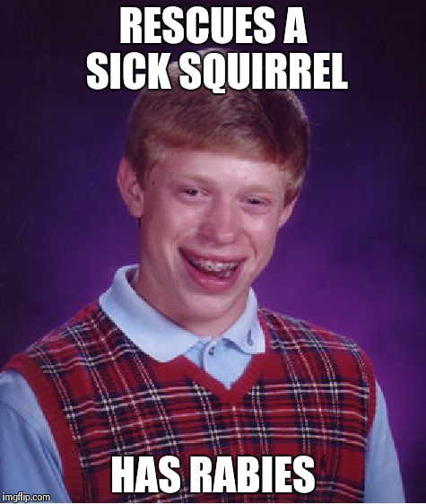 Bad Luck Brian | RESCUES A SICK SQUIRREL HAS RABIES | image tagged in memes,bad luck brian | made w/ Imgflip meme maker