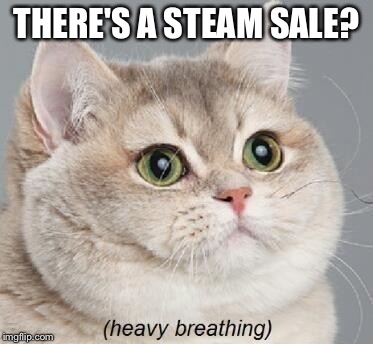 Heavy Breathing Cat | THERE'S A STEAM SALE? | image tagged in memes,heavy breathing cat | made w/ Imgflip meme maker
