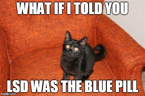 WHAT IF I TOLD YOU LSD WAS THE BLUE PILL | image tagged in stoner kitty | made w/ Imgflip meme maker