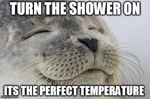 Satisfied Seal | TURN THE SHOWER ON ITS THE PERFECT TEMPERATURE | image tagged in memes,satisfied seal | made w/ Imgflip meme maker