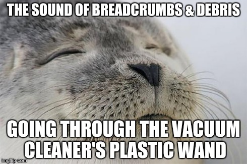 Satisfied Seal | THE SOUND OF BREADCRUMBS & DEBRIS GOING THROUGH THE VACUUM CLEANER'S PLASTIC WAND | image tagged in memes,satisfied seal,AdviceAnimals | made w/ Imgflip meme maker
