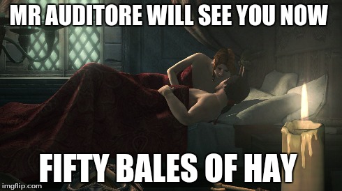 fifty bales of hay  | MR AUDITORE WILL SEE YOU NOW FIFTY BALES OF HAY | image tagged in assassins creed,fifty shades of grey | made w/ Imgflip meme maker