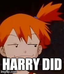 Derp Face Misty | HARRY DID | image tagged in derp face misty | made w/ Imgflip meme maker