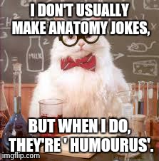 Science Cat | I DON'T USUALLY MAKE ANATOMY JOKES, BUT WHEN I DO, THEY'RE ' HUMOURUS'. | image tagged in science cat | made w/ Imgflip meme maker