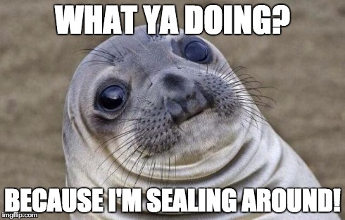 Awkward Moment Sealion Meme | WHAT YA DOING? BECAUSE I'M SEALING AROUND! | image tagged in memes,awkward moment sealion | made w/ Imgflip meme maker