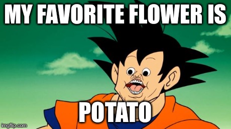 Derpy Interest Goku | MY FAVORITE FLOWER IS POTATO | image tagged in derpy interest goku | made w/ Imgflip meme maker