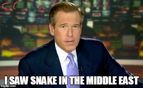 true story | I SAW SNAKE IN THE MIDDLE EAST | image tagged in memes,brian williams was there,mgs,outer heaven | made w/ Imgflip meme maker