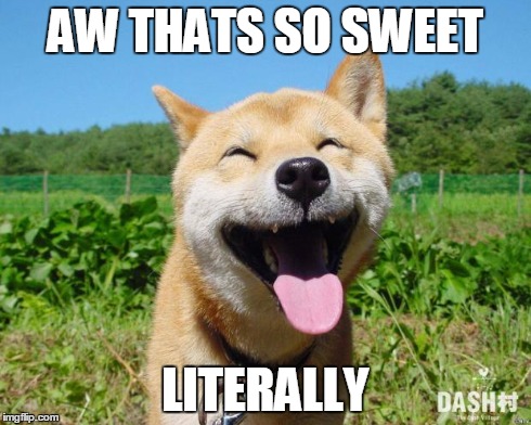 Happy Dog | AW THATS SO SWEET LITERALLY | image tagged in happy dog | made w/ Imgflip meme maker
