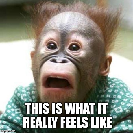 Scared monkey | THIS IS WHAT IT REALLY FEELS LIKE | image tagged in scared monkey | made w/ Imgflip meme maker