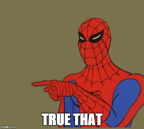 Spiderman Disagrees | TRUE THAT | image tagged in spiderman disagrees | made w/ Imgflip meme maker