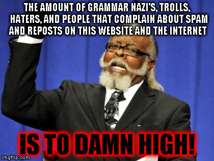 Too Damn High | THE AMOUNT OF GRAMMAR NAZI'S, TROLLS,  HATERS, AND PEOPLE THAT COMPLAIN ABOUT SPAM AND REPOSTS ON THIS WEBSITE AND THE INTERNET IS TO DAMN H | image tagged in memes,too damn high | made w/ Imgflip meme maker