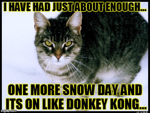 Enough | I HAVE HAD JUST ABOUT ENOUGH... ONE MORE SNOW DAY AND ITS ON LIKE DONKEY KONG... | image tagged in cat,snow,funny memes,animals,angry,kitty | made w/ Imgflip meme maker