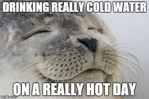 Satisfied Seal | DRINKING REALLY COLD WATER ON A REALLY HOT DAY | image tagged in memes,satisfied seal | made w/ Imgflip meme maker