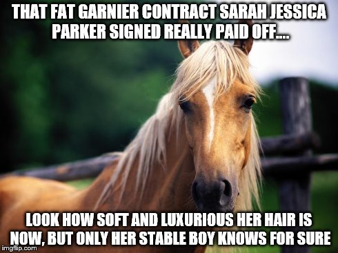 THAT FAT GARNIER CONTRACT SARAH JESSICA PARKER SIGNED REALLY PAID OFF.... LOOK HOW SOFT AND LUXURIOUS HER HAIR IS NOW, BUT ONLY HER STABLE B | image tagged in horse | made w/ Imgflip meme maker