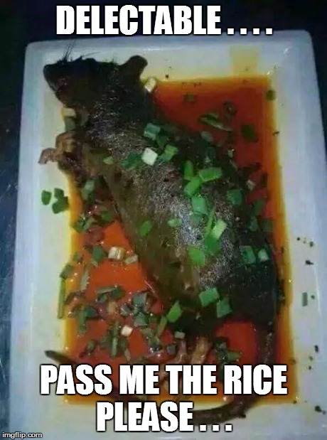 rat on plate | DELECTABLE . . . . PASS ME THE RICE PLEASE . . . | image tagged in gross,dead rat | made w/ Imgflip meme maker