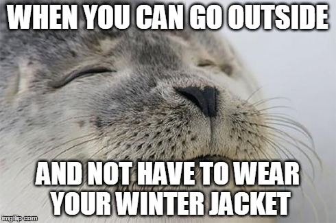 Satisfied Seal Meme | WHEN YOU CAN GO OUTSIDE AND NOT HAVE TO WEAR YOUR WINTER JACKET | image tagged in memes,satisfied seal,AdviceAnimals | made w/ Imgflip meme maker