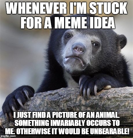 Bearly tolerable humor.  | WHENEVER I'M STUCK FOR A MEME IDEA I JUST FIND A PICTURE OF AN ANIMAL. SOMETHING INVARIABLY OCCURS TO ME. OTHERWISE IT WOULD BE UNBEARABLE! | image tagged in memes,confession bear,funny | made w/ Imgflip meme maker