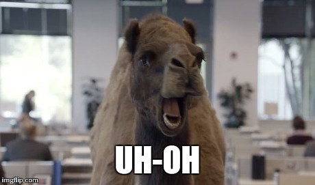 Hump Day Camel | UH-OH | image tagged in hump day camel | made w/ Imgflip meme maker