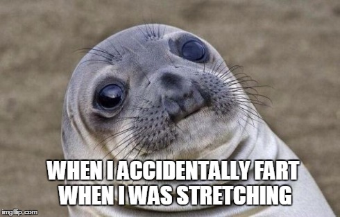 Awkward Moment Sealion | WHEN I ACCIDENTALLY FART WHEN I WAS STRETCHING | image tagged in memes,awkward moment sealion | made w/ Imgflip meme maker