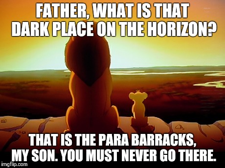 Lion King Meme | FATHER, WHAT IS THAT DARK PLACE ON THE HORIZON? THAT IS THE PARA BARRACKS, MY SON. YOU MUST NEVER GO THERE. | image tagged in memes,lion king | made w/ Imgflip meme maker
