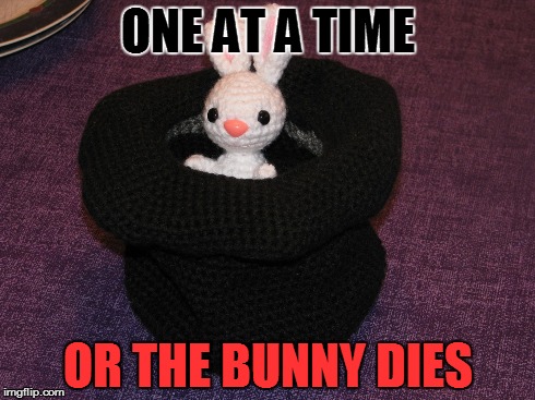 Consequences | ONE AT A TIME OR THE BUNNY DIES | image tagged in bunny | made w/ Imgflip meme maker