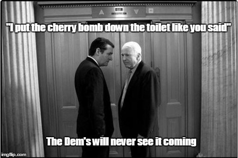 Republicans Control Congress | "I put the cherry bomb down the toilet like you said" The Dem's will never see it coming | image tagged in cruz,mccain,conspiracy,republicans,congress,democrats | made w/ Imgflip meme maker