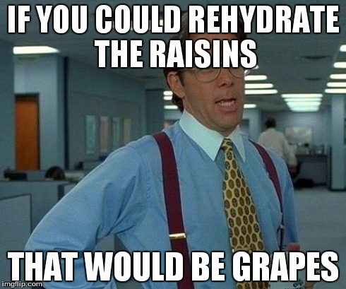 That Would Be Great | IF YOU COULD REHYDRATE THE RAISINS THAT WOULD BE GRAPES | image tagged in memes,that would be great | made w/ Imgflip meme maker