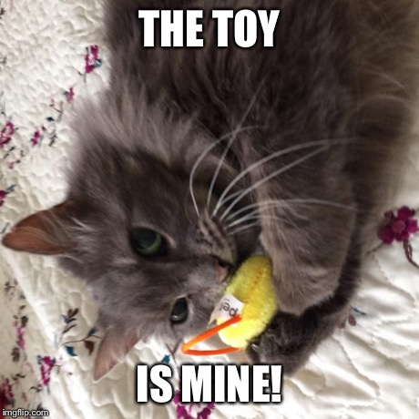 THE TOY IS MINE! | image tagged in the x is mine | made w/ Imgflip meme maker
