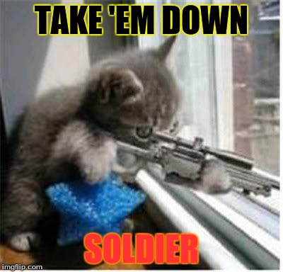 cats with guns | TAKE 'EM DOWN SOLDIER | image tagged in cats with guns | made w/ Imgflip meme maker