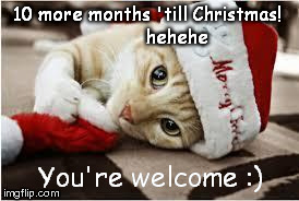 10 more months 'till Christmas!          hehehe You're welcome :) | image tagged in christmas | made w/ Imgflip meme maker