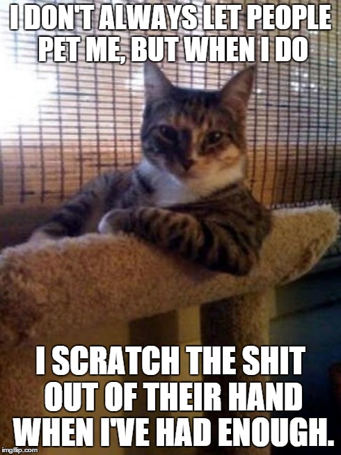 I DON'T ALWAYS LET PEOPLE PET ME, BUT WHEN I DO I SCRATCH THE SHIT OUT OF THEIR HAND WHEN I'VE HAD ENOUGH. | image tagged in interesting cat,cat,cats | made w/ Imgflip meme maker