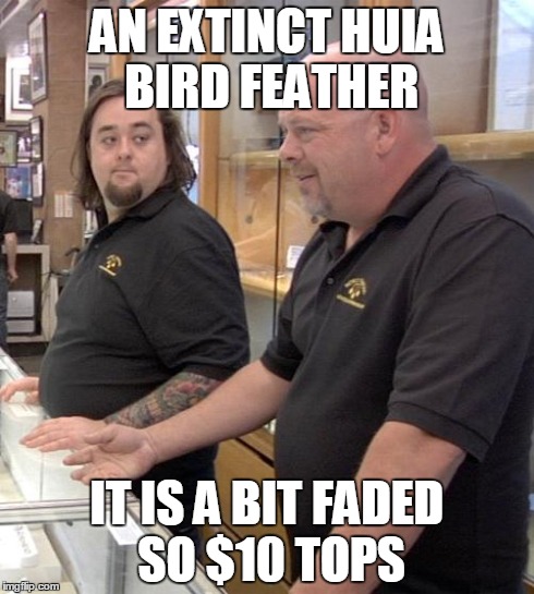 pawn stars rebuttal | AN EXTINCT HUIA BIRD FEATHER IT IS A BIT FADED SO $10 TOPS | image tagged in pawn stars rebuttal | made w/ Imgflip meme maker