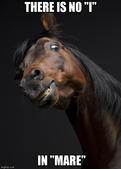 ScaryHorse | THERE IS NO "I" IN "MARE" | image tagged in scaryhorse | made w/ Imgflip meme maker