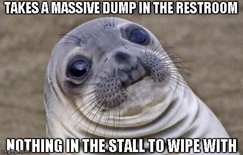 Thank goodness I could reach the toilet paper from the next stall over | TAKES A MASSIVE DUMP IN THE RESTROOM NOTHING IN THE STALL TO WIPE WITH | image tagged in memes,awkward moment sealion | made w/ Imgflip meme maker