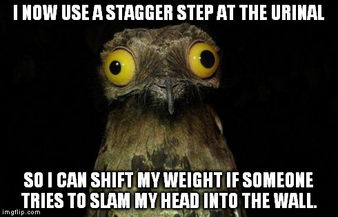 Weird Stuff I Do Potoo Meme | I NOW USE A STAGGER STEP AT THE URINAL SO I CAN SHIFT MY WEIGHT IF SOMEONE TRIES TO SLAM MY HEAD INTO THE WALL. | image tagged in memes,weird stuff i do potoo,AdviceAnimals | made w/ Imgflip meme maker