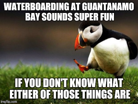 Unpopular Opinion Puffin | WATERBOARDING AT GUANTANAMO BAY SOUNDS SUPER FUN IF YOU DON'T KNOW WHAT EITHER OF THOSE THINGS ARE | image tagged in memes,unpopular opinion puffin | made w/ Imgflip meme maker
