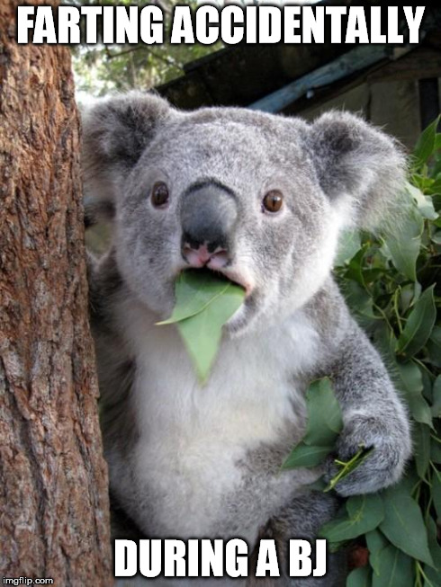 Surprised Koala | FARTING ACCIDENTALLY DURING A BJ | image tagged in memes,surprised koala | made w/ Imgflip meme maker