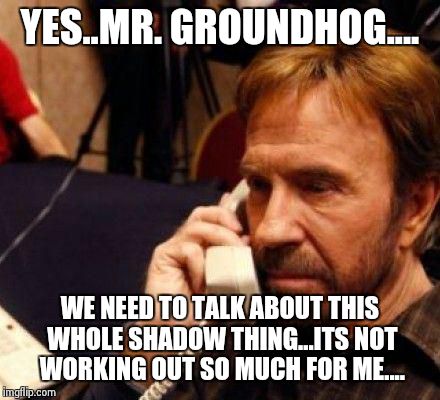 CHUCK NORRIS | YES..MR. GROUNDHOG.... WE NEED TO TALK ABOUT THIS WHOLE SHADOW THING...ITS NOT WORKING OUT SO MUCH FOR ME.... | image tagged in chuck norris | made w/ Imgflip meme maker