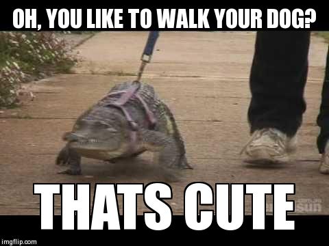 OH, YOU LIKE TO WALK YOUR DOG? THATS CUTE | image tagged in croc | made w/ Imgflip meme maker