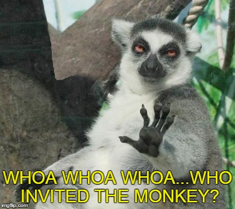 Stoner Lemur Meme | WHOA WHOA WHOA...WHO INVITED THE MONKEY? | image tagged in memes,stoner lemur | made w/ Imgflip meme maker
