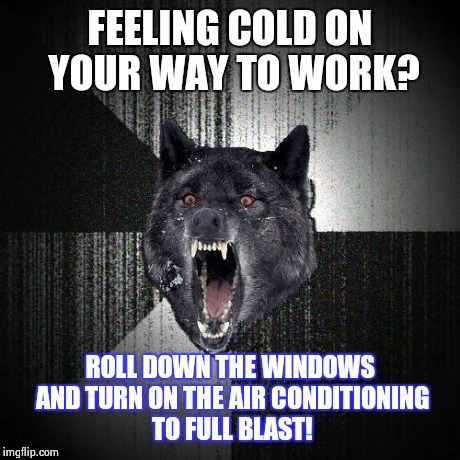 Insanity Wolf Meme | FEELING COLD ON YOUR WAY TO WORK? ROLL DOWN THE WINDOWS AND TURN ON THE AIR CONDITIONING TO FULL BLAST! | image tagged in memes,insanity wolf | made w/ Imgflip meme maker